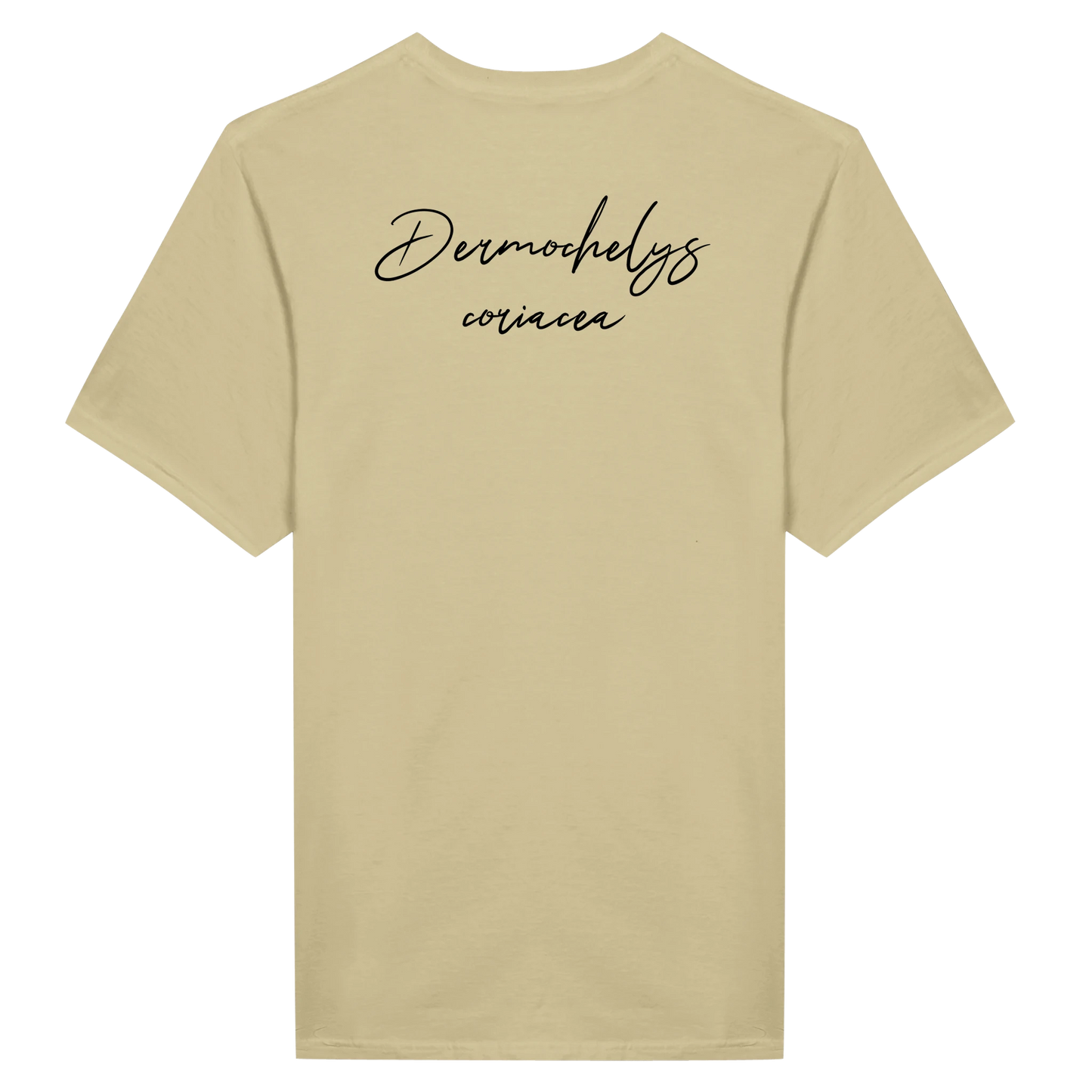 8d8f2113-c161-4ff4-871a-89e58e2ffd69