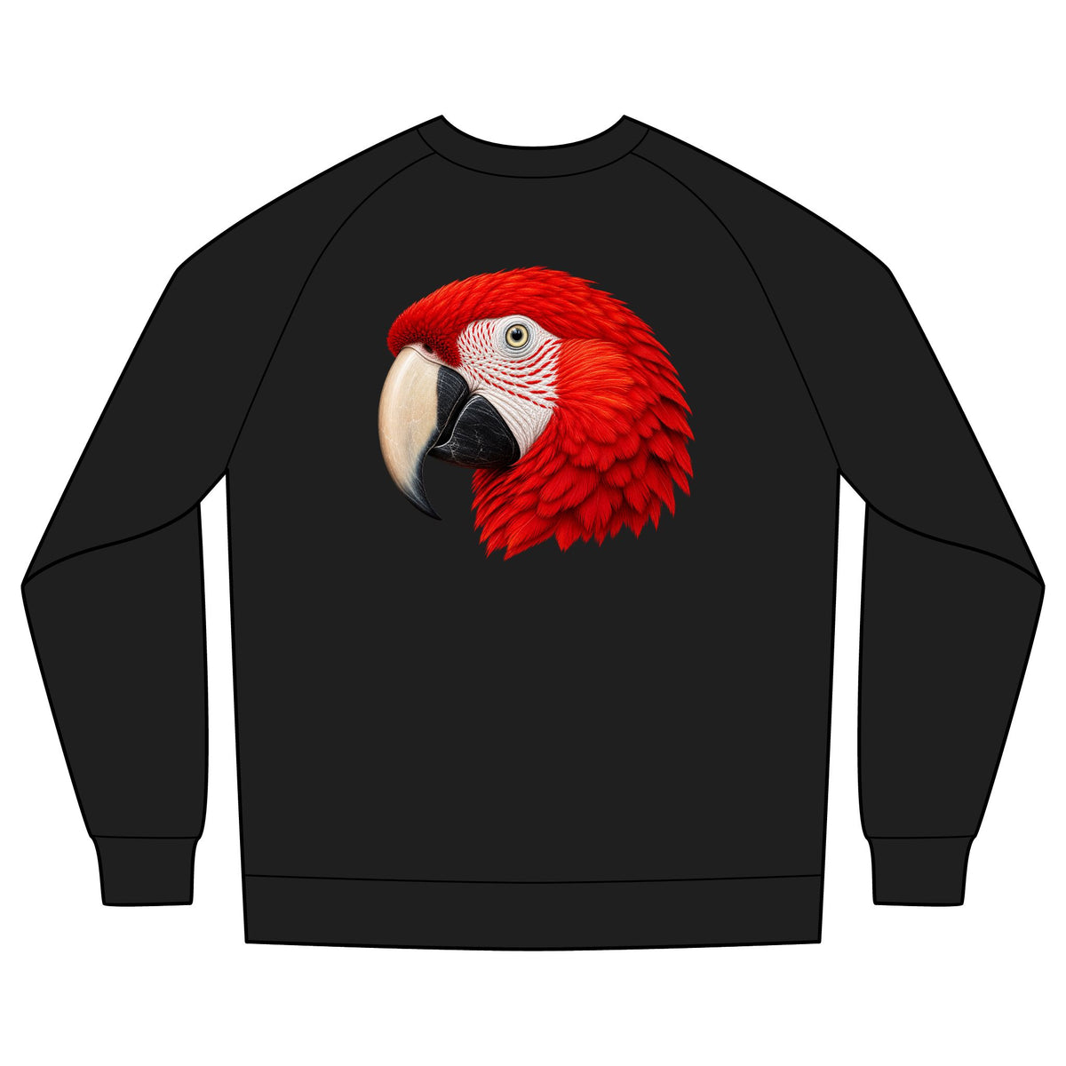 Scarlet Macaw Organic Cotton Sweatshirt | Costa Rica Wildlife