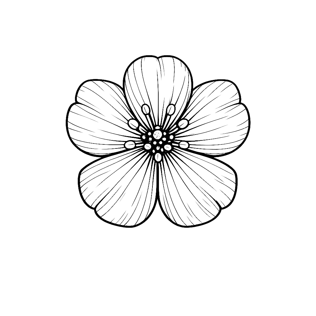A black and white line art illustration of a five-petaled flower with detailed petal and stamen lines, centered on a solid white background.