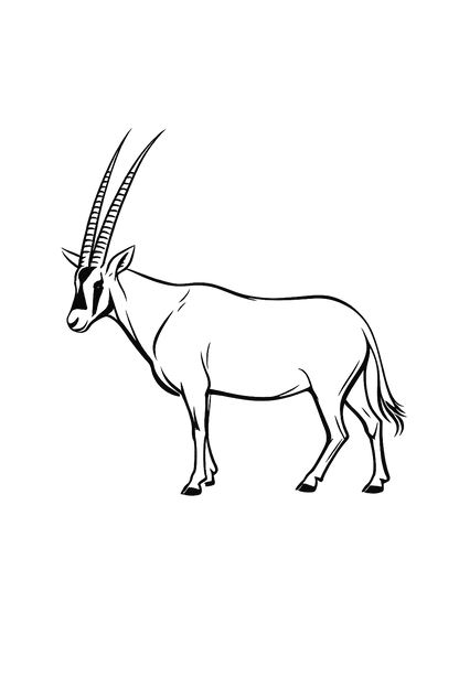 Black line art illustration of an oryx antelope with long, straight horns, shown in profile on a solid white background.