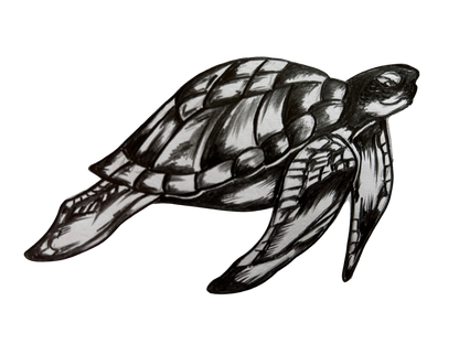 Black-and-white illustration of a leatherback sea turtle with detailed shell pattern, isolated on white background.