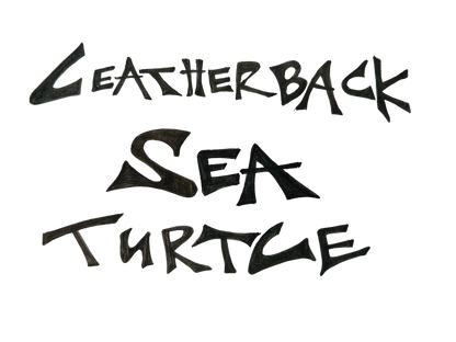 Hand-lettered 'Leatherback Sea Turtle' text in black brush script.